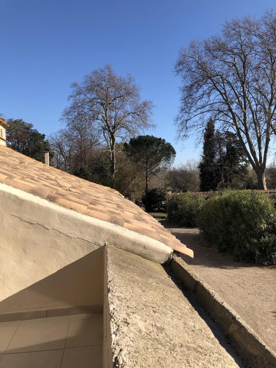 Sallèles-dʼAudeTerrasse Avec Vue Domaine Viticoleアパートメント エクステリア 写真